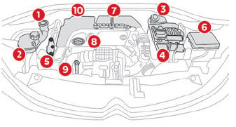 Citroen C3. Engine compartment